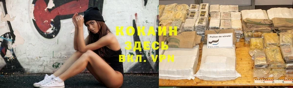 крисы Аркадак