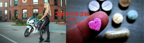 крисы Аркадак