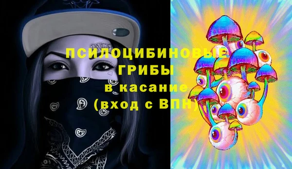 крисы Аркадак