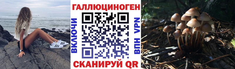 Галлюциногенные грибы Cubensis  Купить  Светлый 